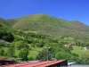 maggio-23-erbe-commestibili-001